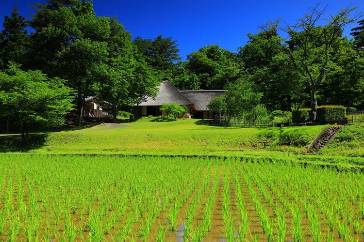 Michinoku Folk Village 3
