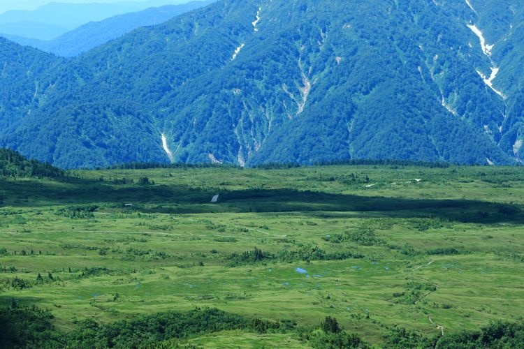 Midagahara