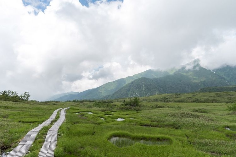 Midagahara 3
