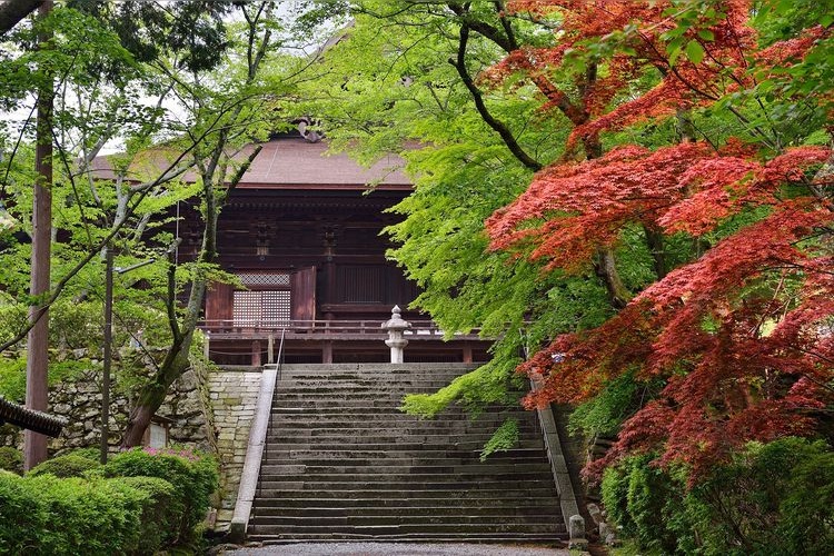 Miidera (Onjoji) 4