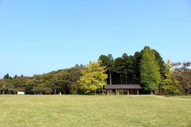 三神峯公園 2
