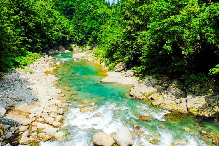 見倉橋 2