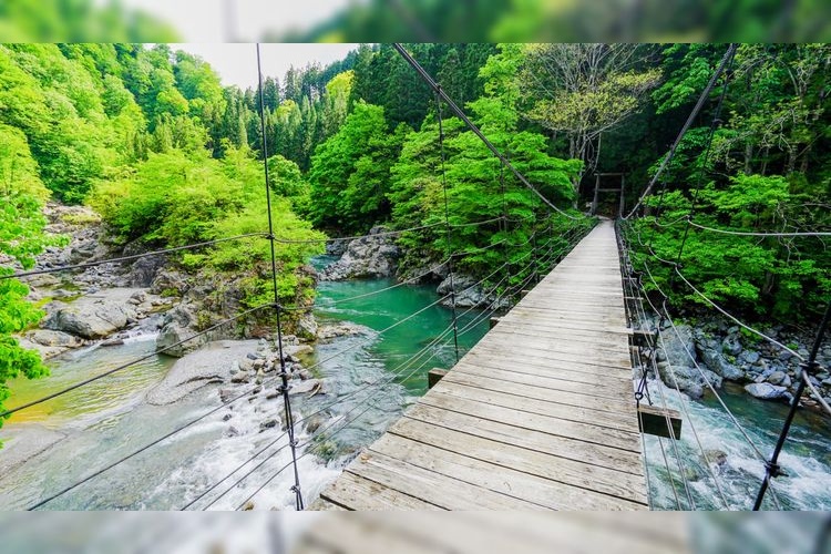 見倉橋 3