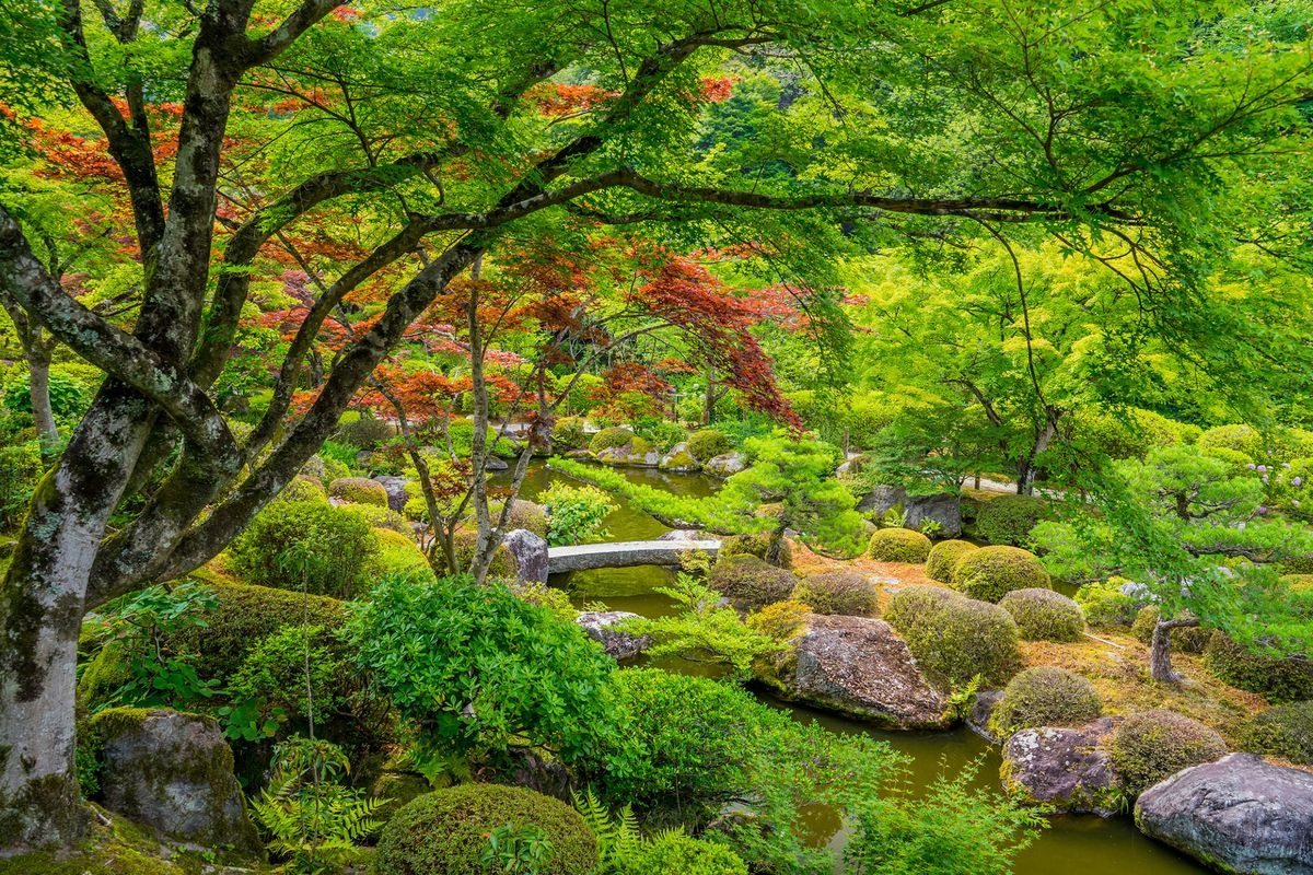 三室户寺