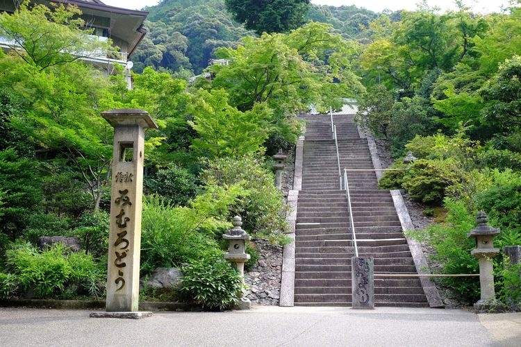 三室户寺 6