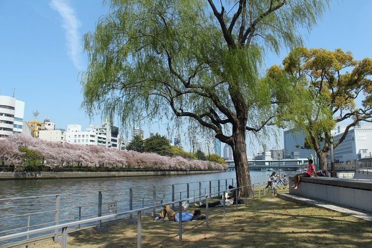 南天滿公園
