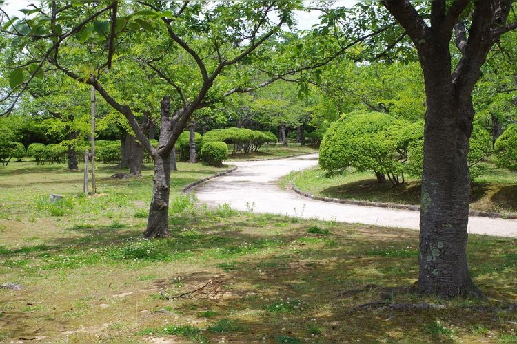 Minatoyama Park 2