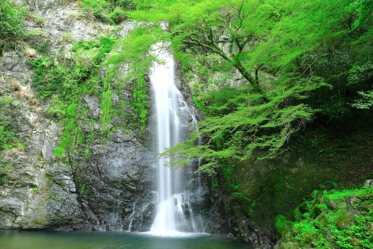 Air Terjun Minoh 3