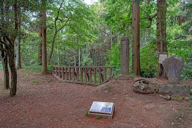 Bekas Kastil Minowa 3