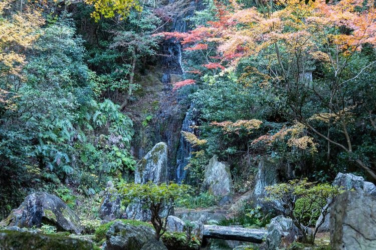 Mitaki-dera