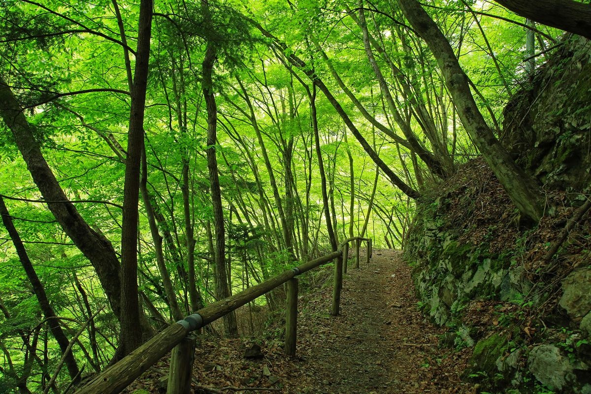 Mitaraibashi Valley