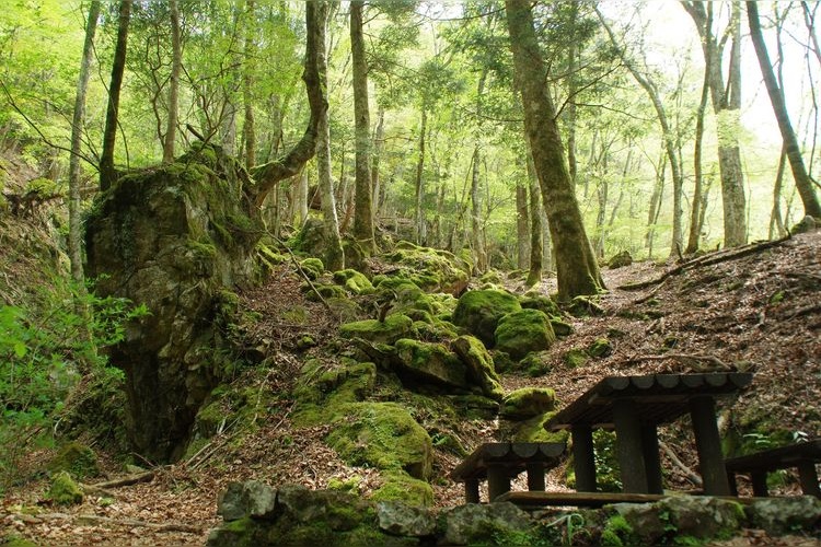 Mitaraibashi Valley
