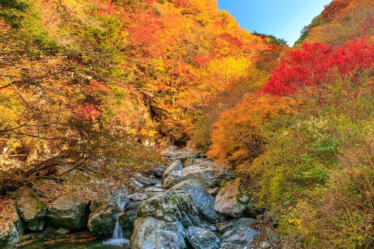 Mitaraibashi Valley 3