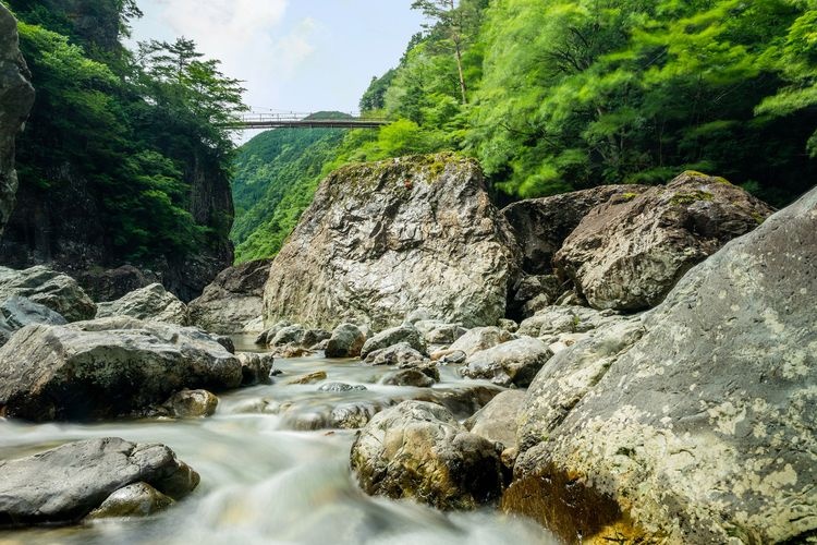Mitaraibashi Valley 4