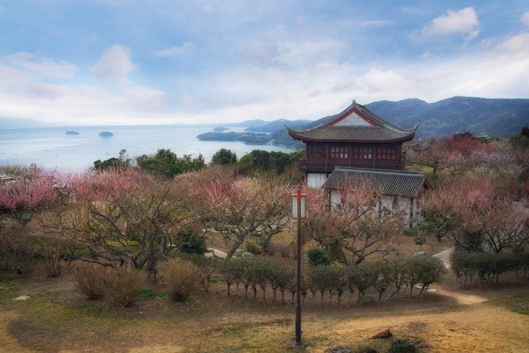 Mitsu Nature Observation Park (World Plum Park) 2