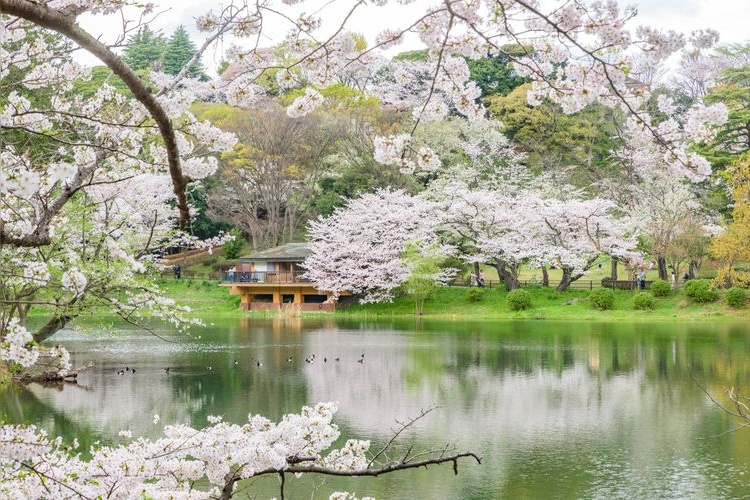 三池公园 (Mitsuike Park)