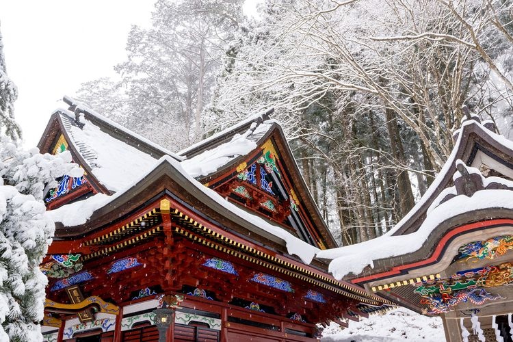 ศาลเจ้ามิเนะ (Mitsumine Shrine) 11