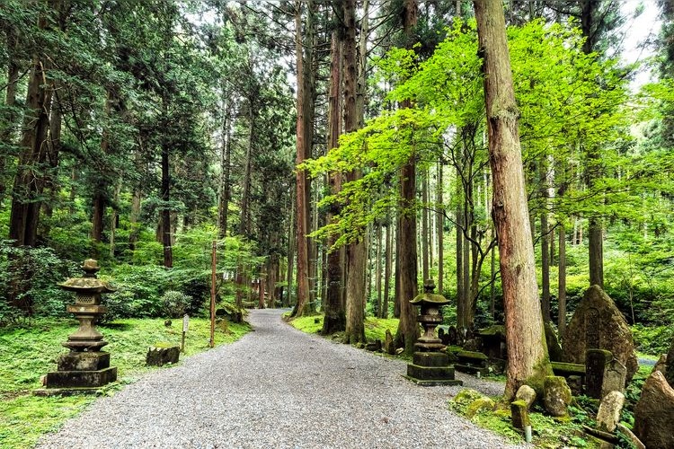 Santuario Kamiwa Jinja 3