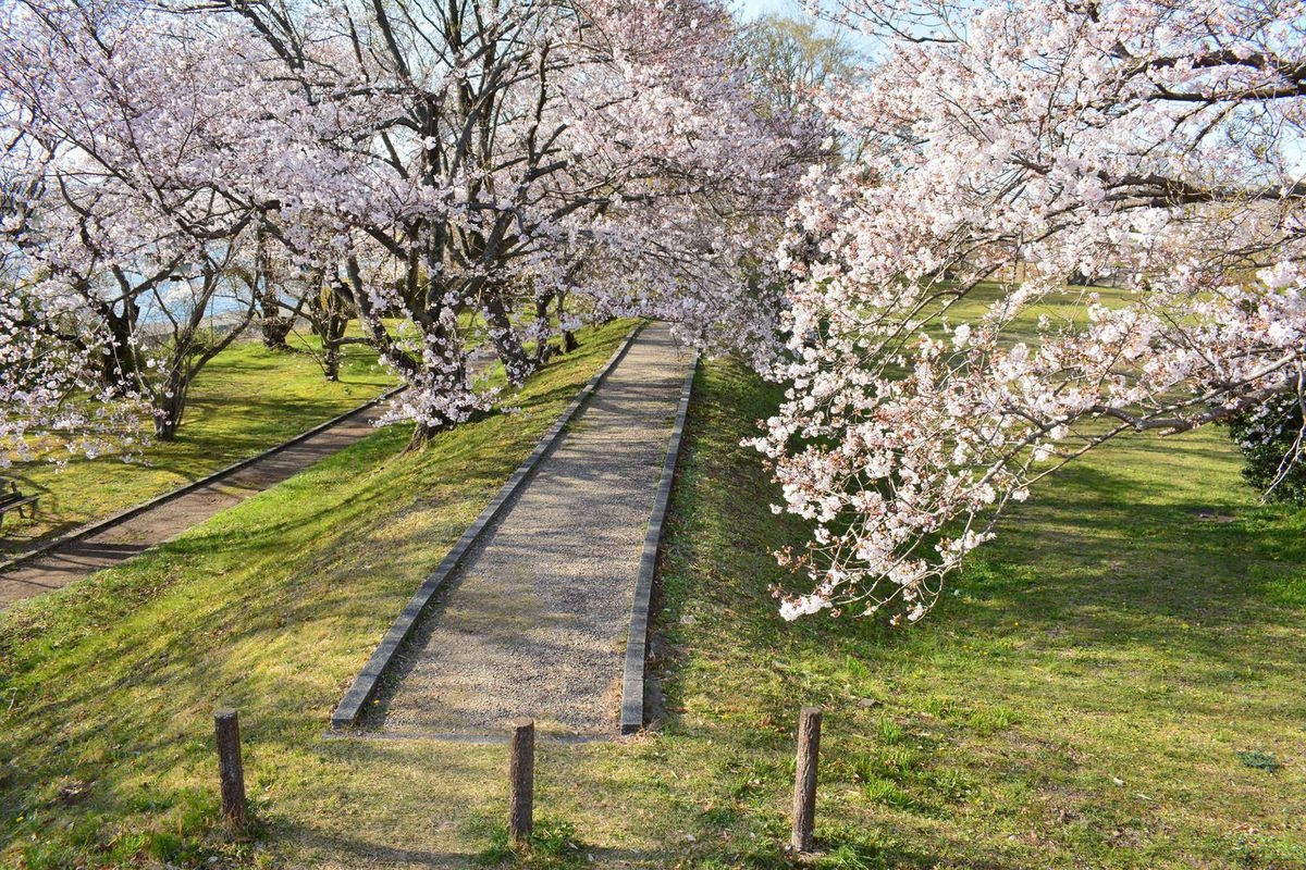 宫川堤