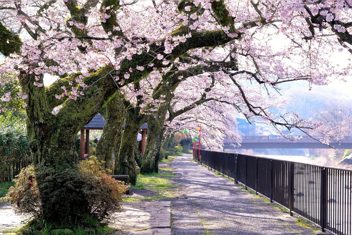 Miyagino Hayakawazutsumi