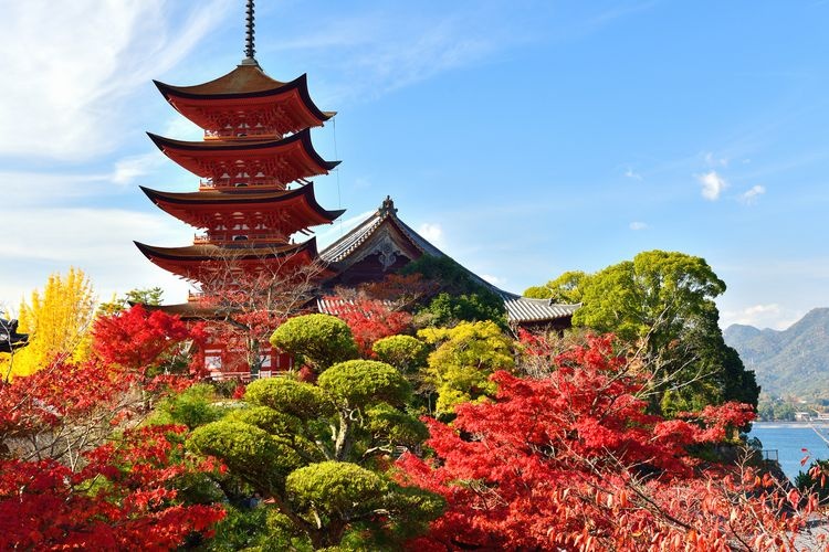 Miyajima (Itsukushima Jinja Shrine Area) 7