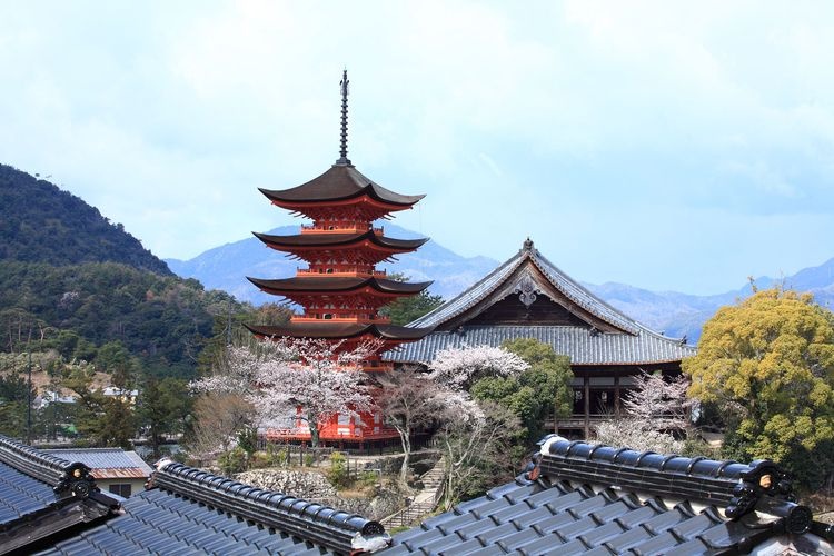 Miyajima (Itsukushima Jinja Shrine Area) 10