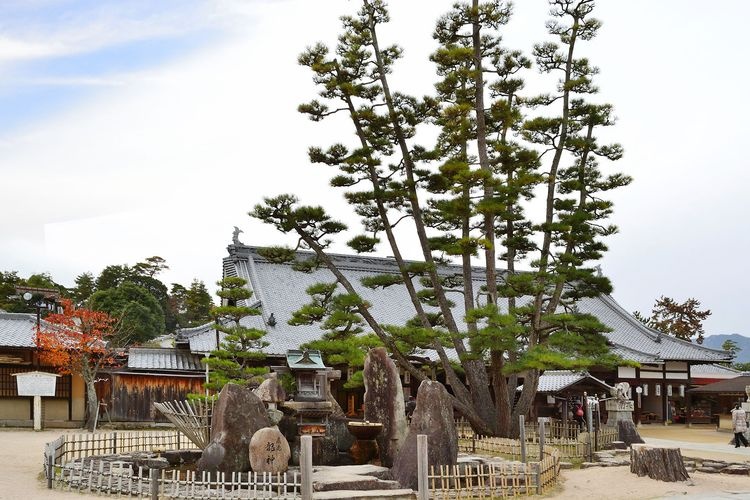 Miyajima (Itsukushima Jinja Shrine Area) 11