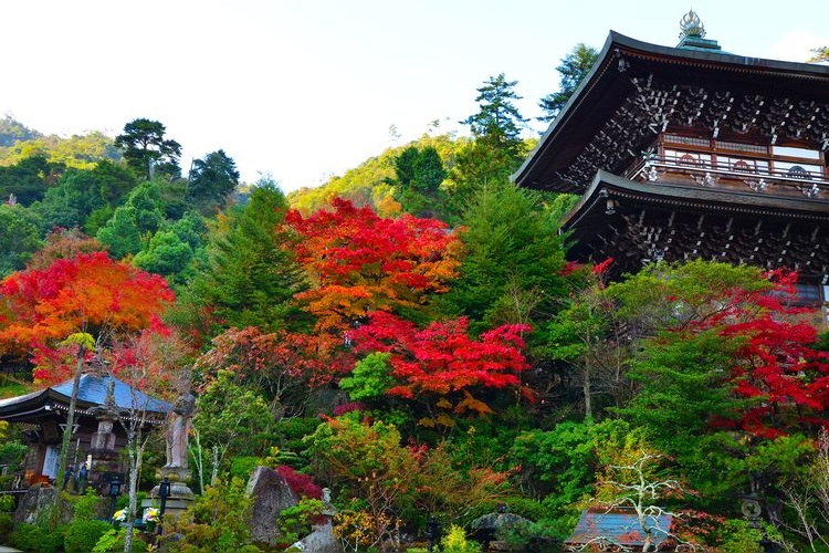 Miyajima (Itsukushima Jinja Shrine Area) 14