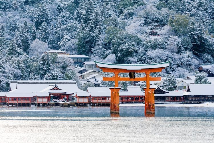 Miyajima (Itsukushima Jinja Shrine Area) 18
