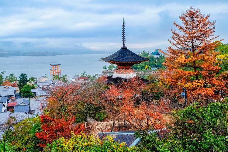 Miyajima (Itsukushima Jinja Shrine Area) 19
