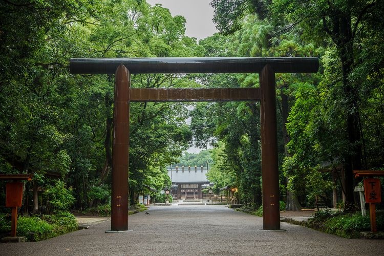 Miyazaki Jingu 3