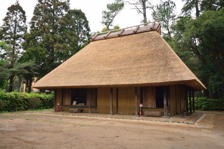 Bảo tàng Tổng hợp Tỉnh Miyazaki 3