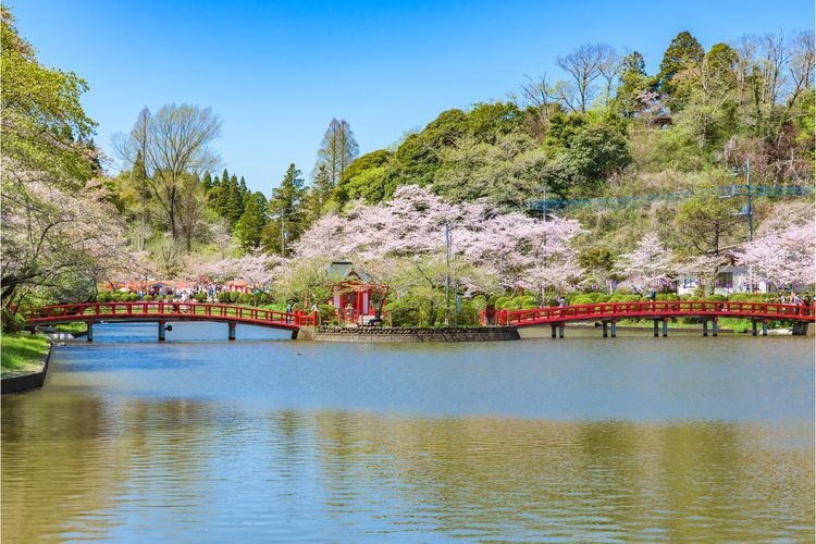 모바라 공원 (Mobara Park)
