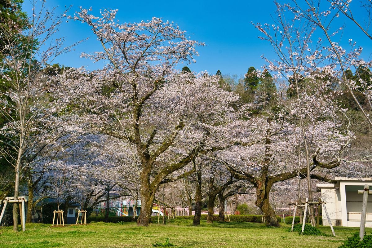Tamanokioka Park