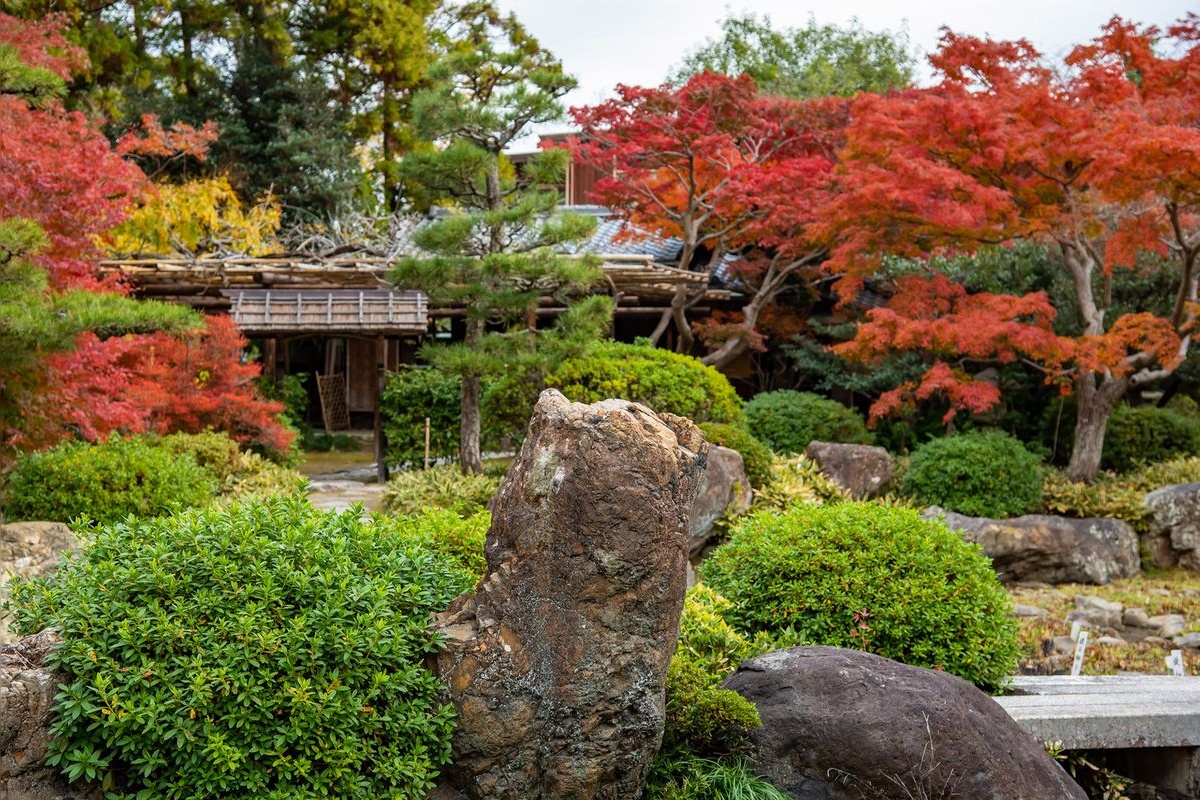 Tamanari Morito Family Garden