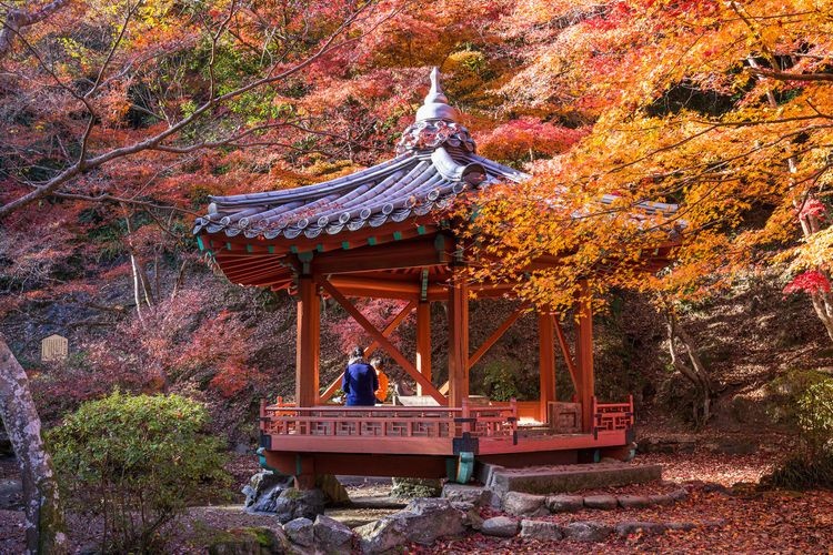 Momijidani Park