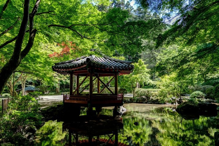 Momijidani Park 3