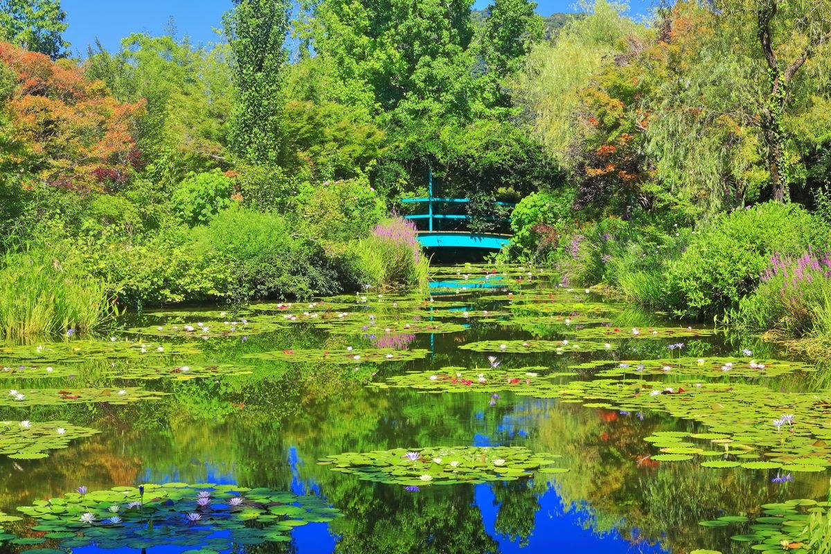 Monet's Garden Marmottan
