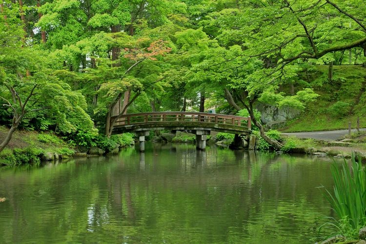 盛岡城跡公園(岩手公園) 2