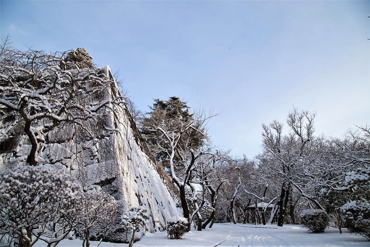 盛岡城跡公園(岩手公園) 4