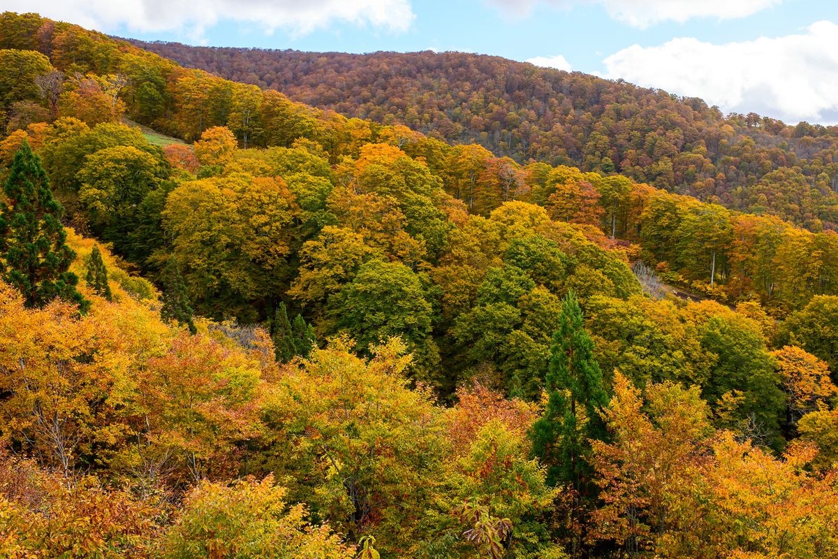 Mont Moriyoshi