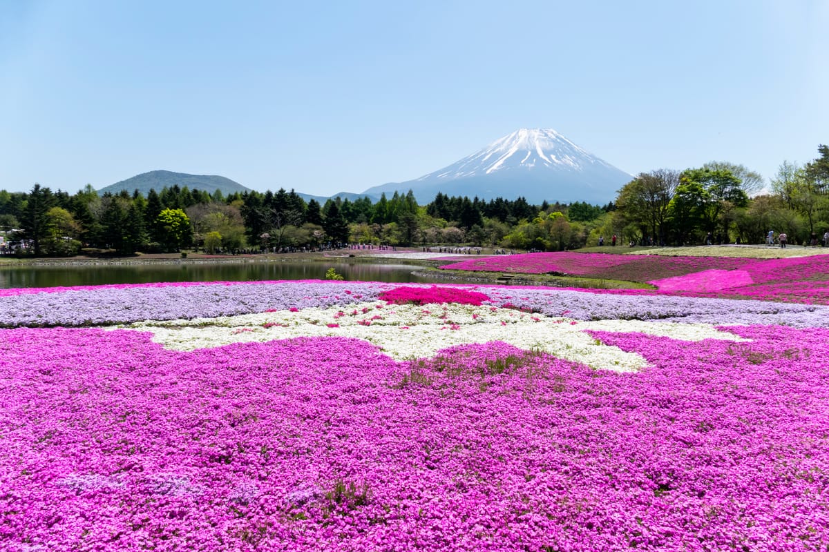 本栖湖 (Lake Motosu)