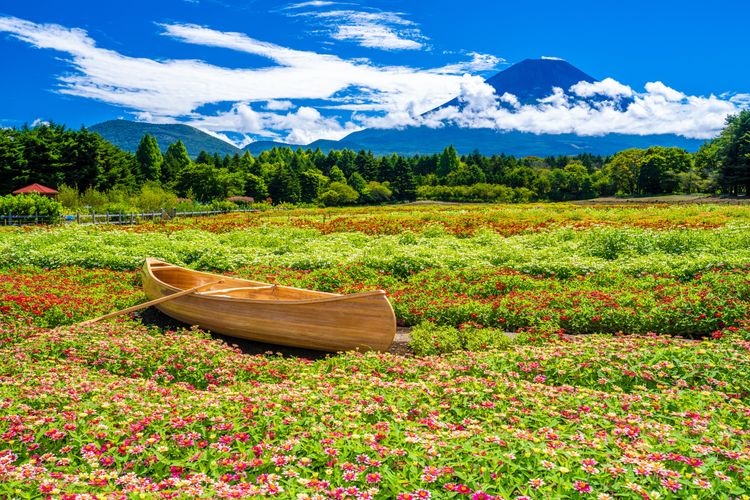 Lake Motosu