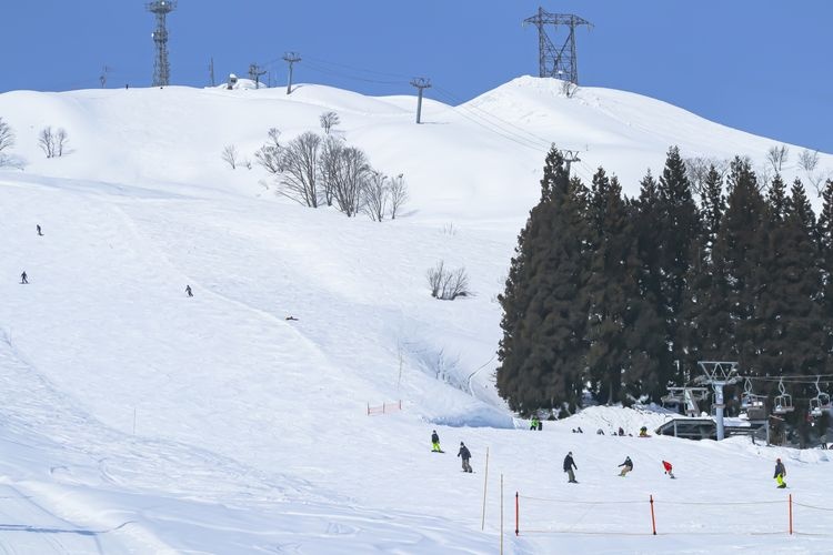 Muika Snow Resort (ムイカスノーリゾート)