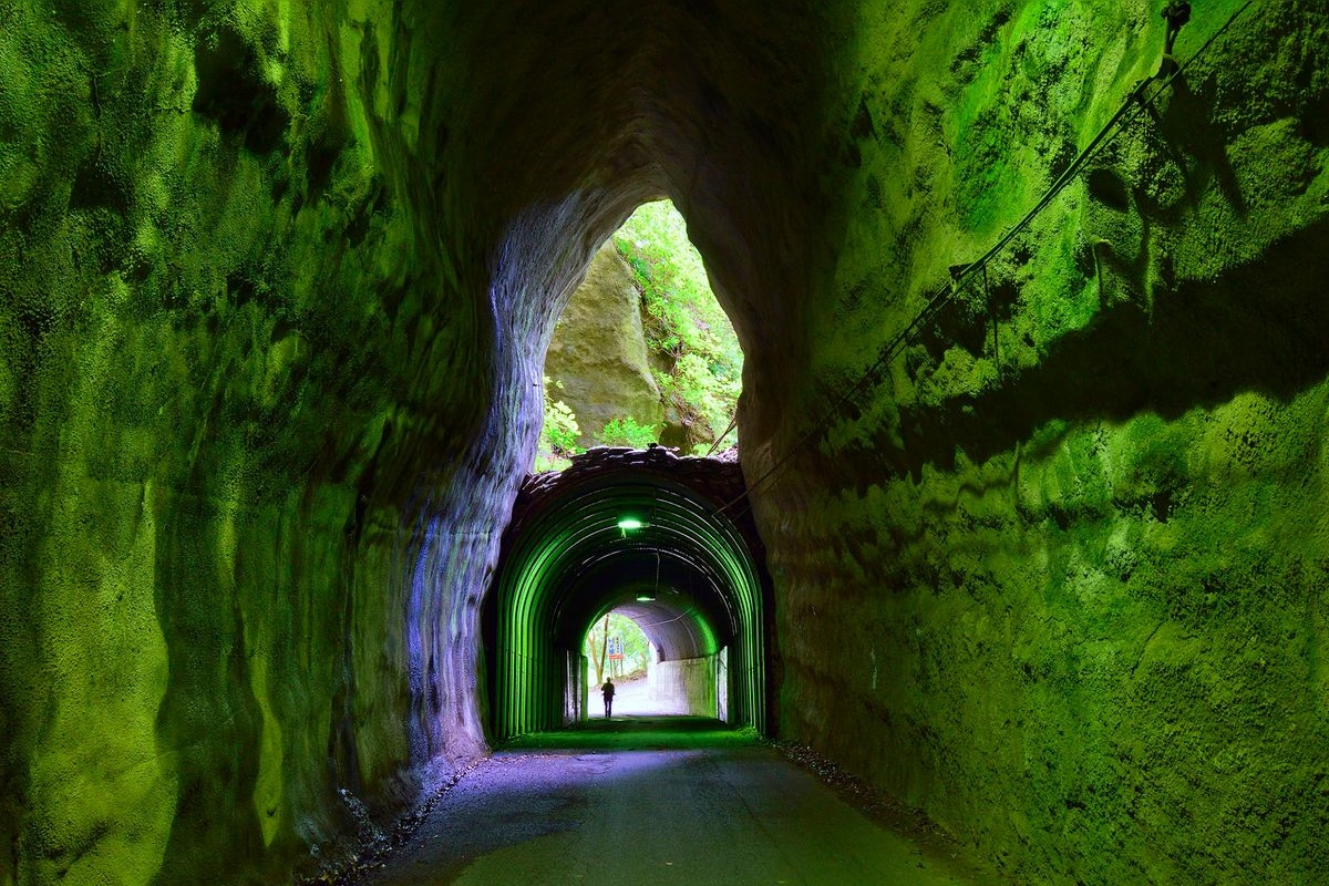 向山隧道 (向山隧道)