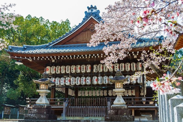 向日神社 2