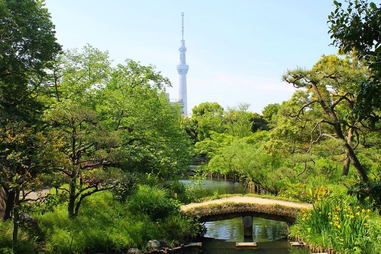 向岛百花园