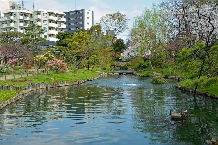 向岛百花园 3