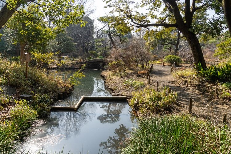 向岛百花园 4
