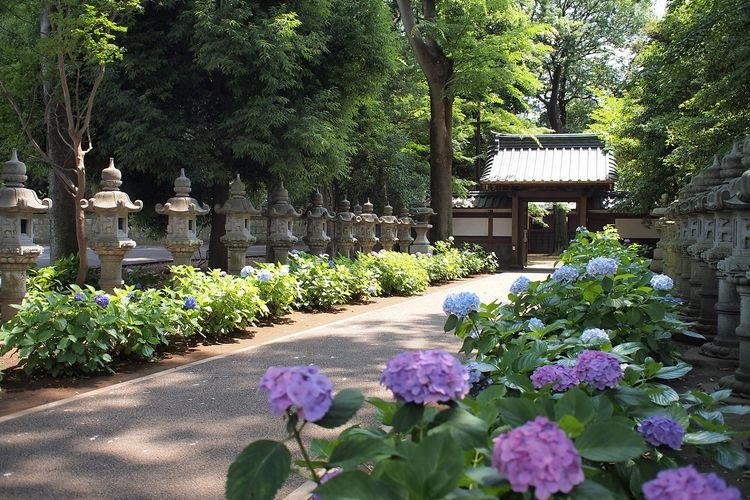 Myōhō-ji 2